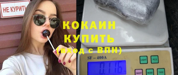 ECSTASY Богданович