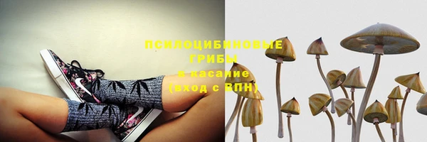 ECSTASY Богданович
