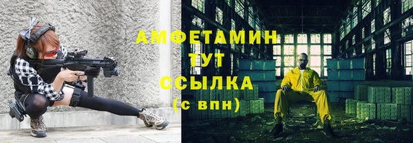 ECSTASY Богданович